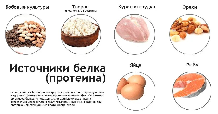 В каких продуктах содержится протеин. Продукты с высоким содержанием протеина и аминокислот. Протеин в продуктах питания таблица. Где содержится протеин в продуктах.