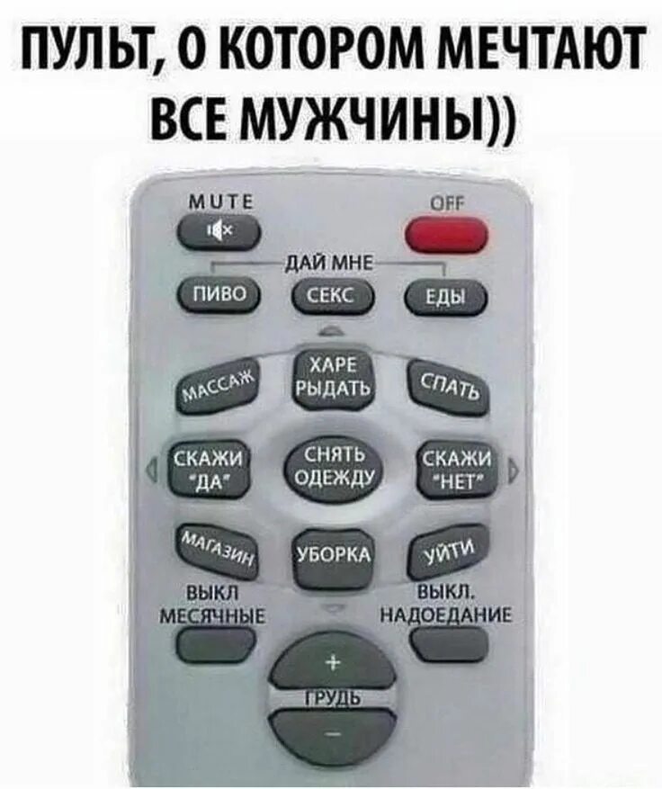 Пульт а нет. Пульт управления женщиной. девушка с пультом. пульт управления мужчиной. пульт мечта мужика.