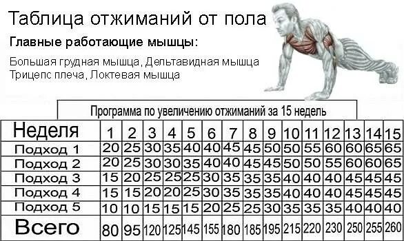 За сколько накачать мышцы