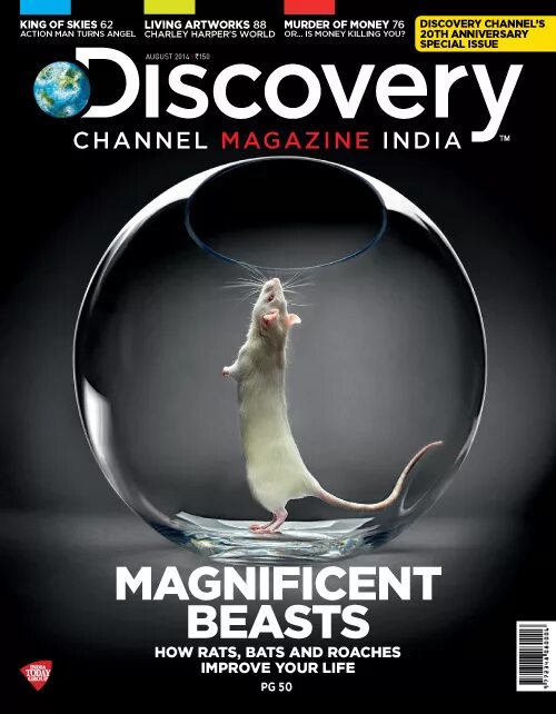 Disney channel 1983. Discovery channel заставка. Channel magazine. Джейми александер blindspot. Art magazine.