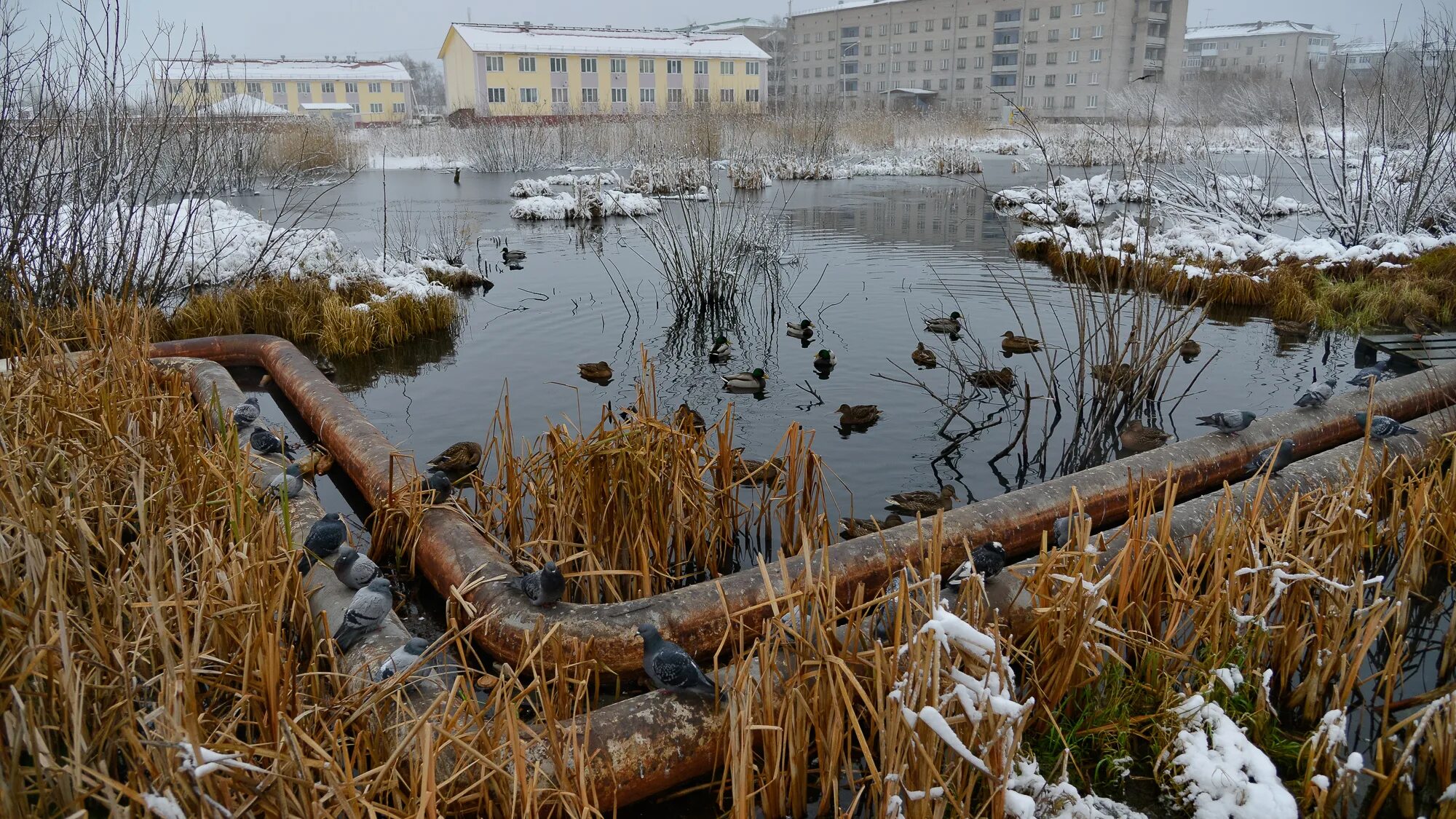 Школы сульфат архангельск. Сульфат город Архангельск. Сульфат Архангельск фото. Архангельск сульфат развалины. Мост на сульфат Архангельск.