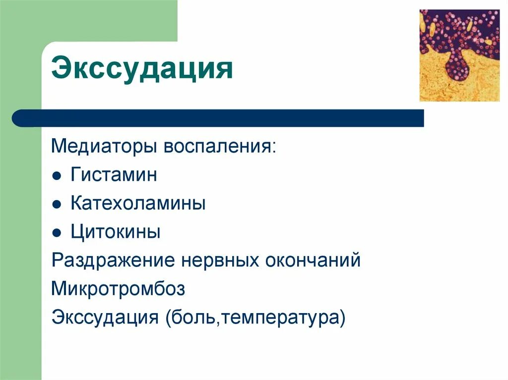 Медиаторы экссудации. Медиаторы экссудации при воспалении. Экссудация при воспалении. Медиаторы воспаления экссудация пролиферация. Экссудация возникает вследствие