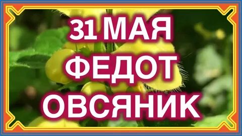 Федот овсяник