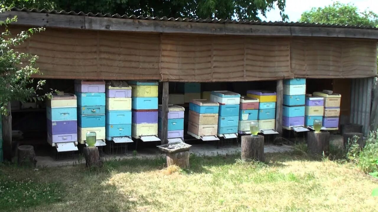 Валей улей. Улей янгер. пасека под навесом. ульи под навесом. улей для пчел.