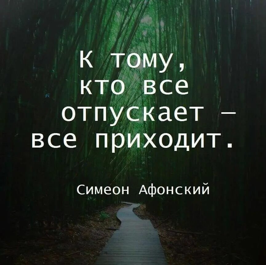 Отпусти все и живи. Цитаты отпустил все. Отпустить ситуацию цитаты. Отпусти ситуацию. Афоризмы отпустить ситуацию.