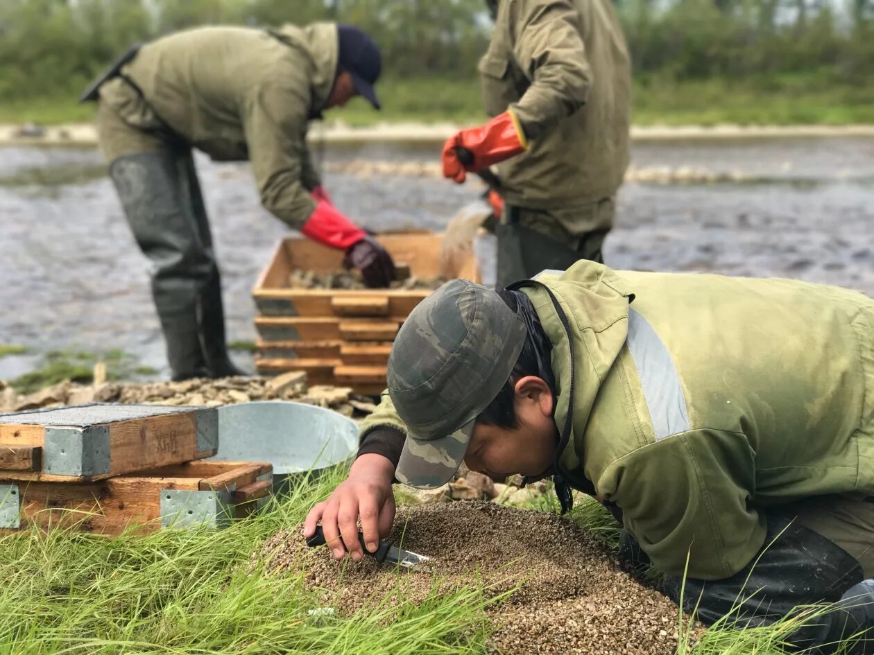Общество геолог. Общество геолог. Геология. По следам двух капитанов. Современный геолог.