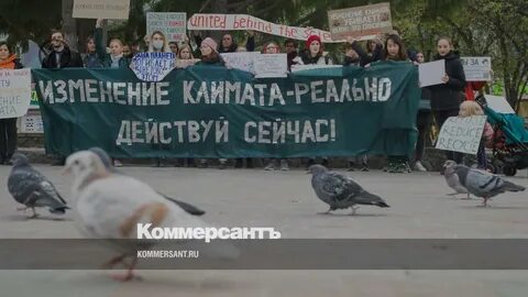 Зеленые правые