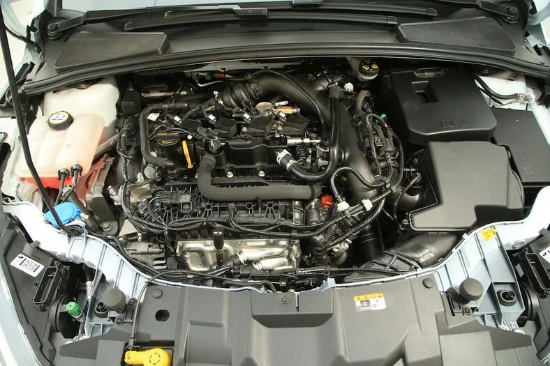 Двигатель форд куга 1.5. Ford Focus 3 1.5 ECOBOOST. Мотор Форд Куга 1.6 экобуст. Focus 1.5 ECOBOOST. Форд фокус 2,5 мотор.
