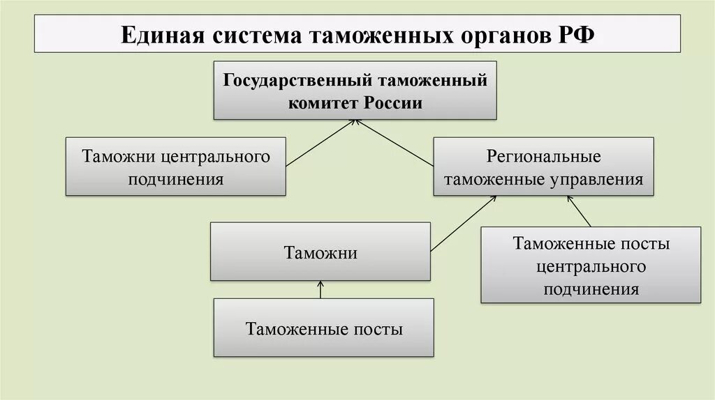 Структура таможенных органов РФ таблица. Система таможенных органов схема. Система таможенных органов РФ схема. Единая Федеральная Централизованная система таможенных органов.