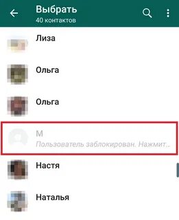 Ватсап насте