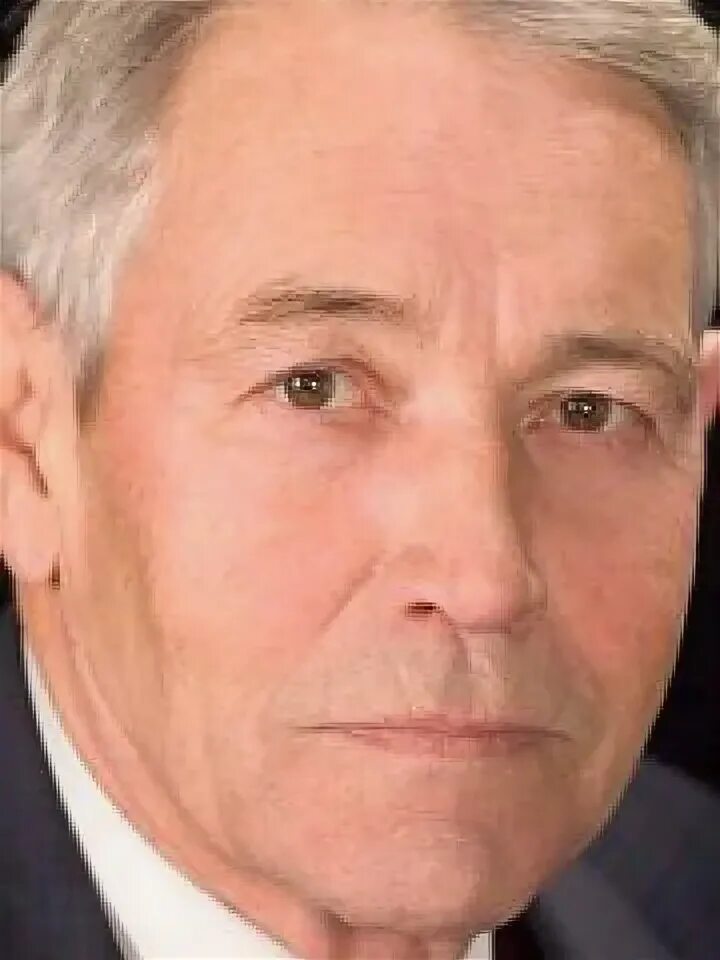 Владимир Земляникин