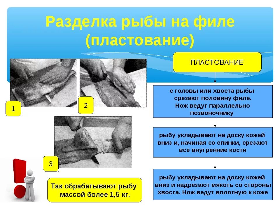 Обработка рыбы на филе пластование. Разделка рыбы на филе пластование схема. Способы пластования рыбы. Способы обработки чешуйчатой рыбы.