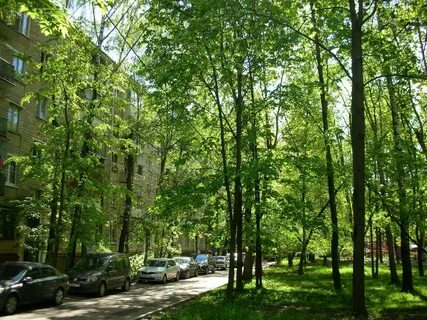 Синегория партизанская ул 45