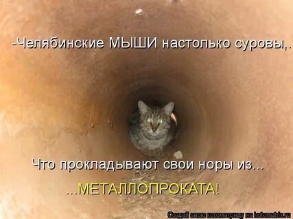 Повторяю закрыть