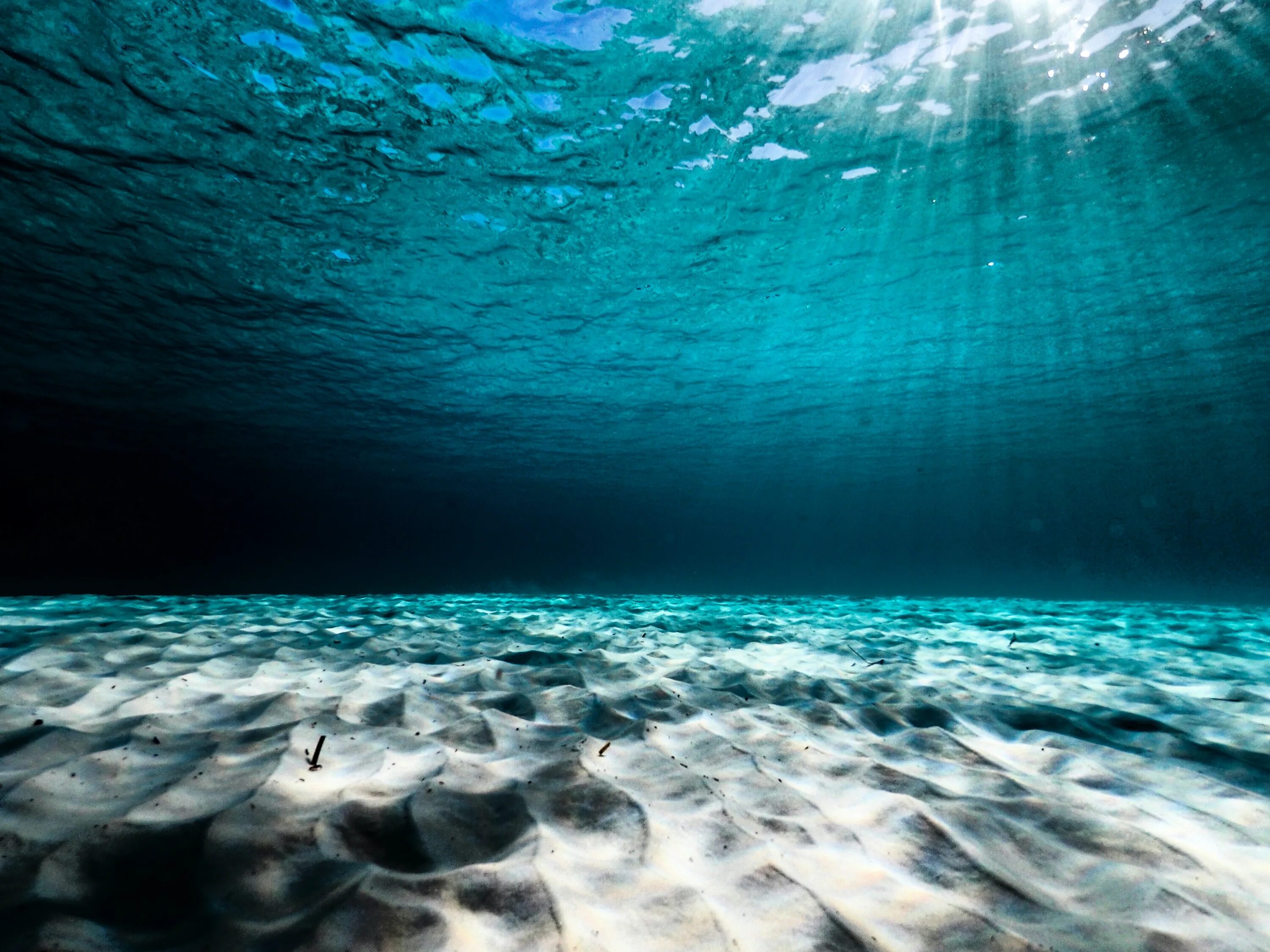 Поверхность океана составляет. Океан под водой. Море под водой. Дно океана. Дно моря.