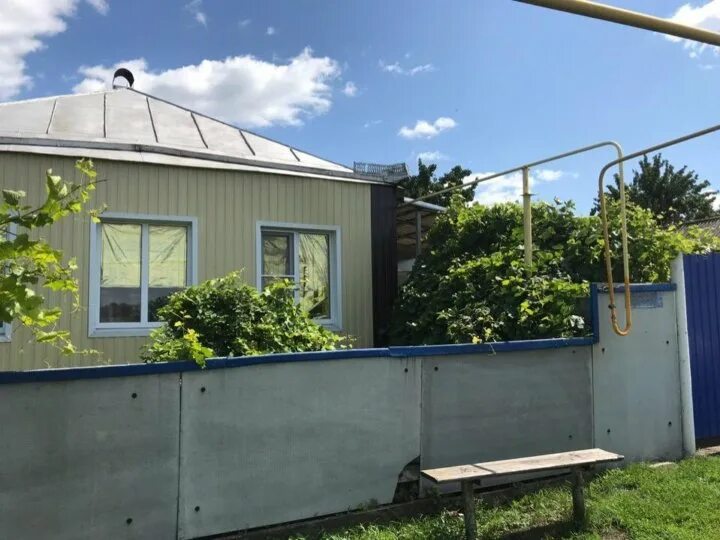 Погода большой скорорыб подгоренского. Хутор большой скорорыб. Скорорыб воронежская область. Скорорыб воронежская область. 1998 год большой хутор.