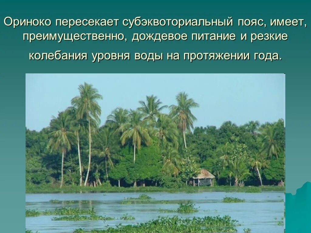 Преимущественно дождевое питание. Льянос Ориноко. Река Ориноко Южная Америка. Льянос река Ориноко. Презентация Ориноко.