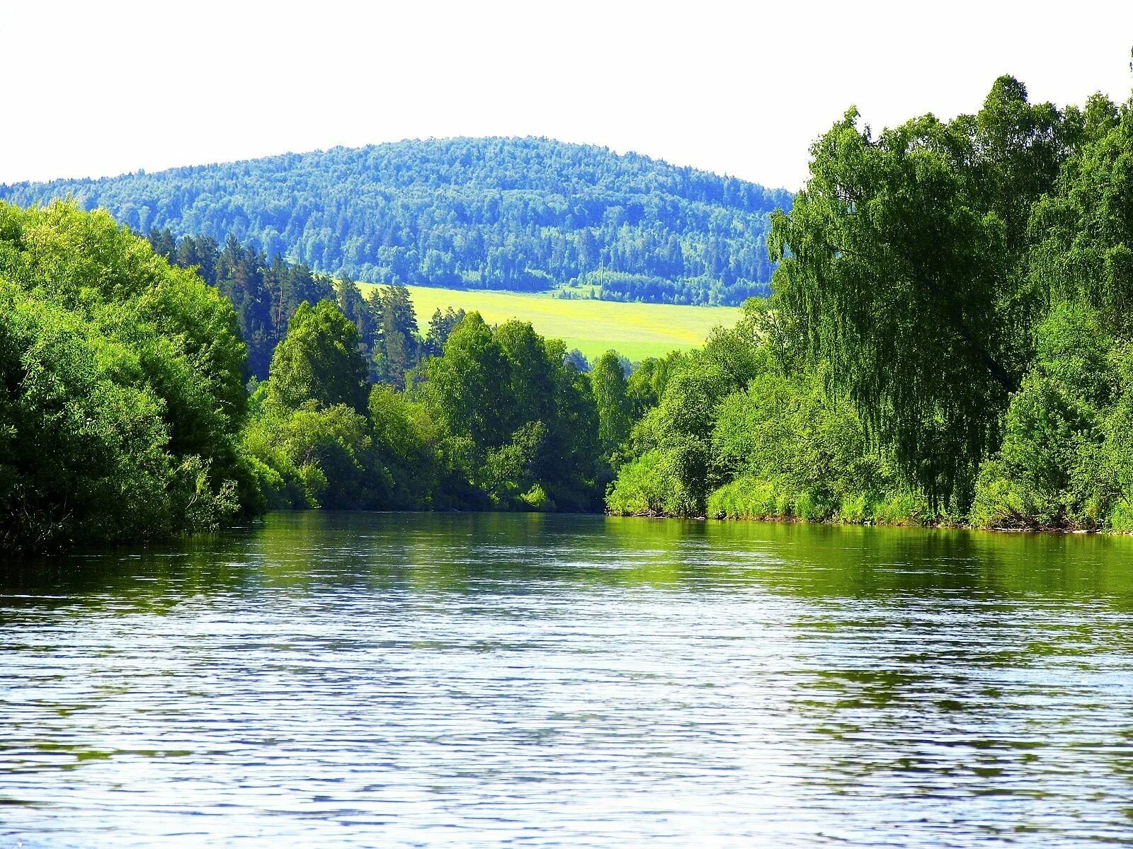 Башкортостан природа. Природа башкирии агидель река. янгантау озеро в башкирии. река белая нуримановский район. лысая гора башкирия красный ключ.