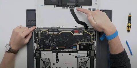 Gun teardown