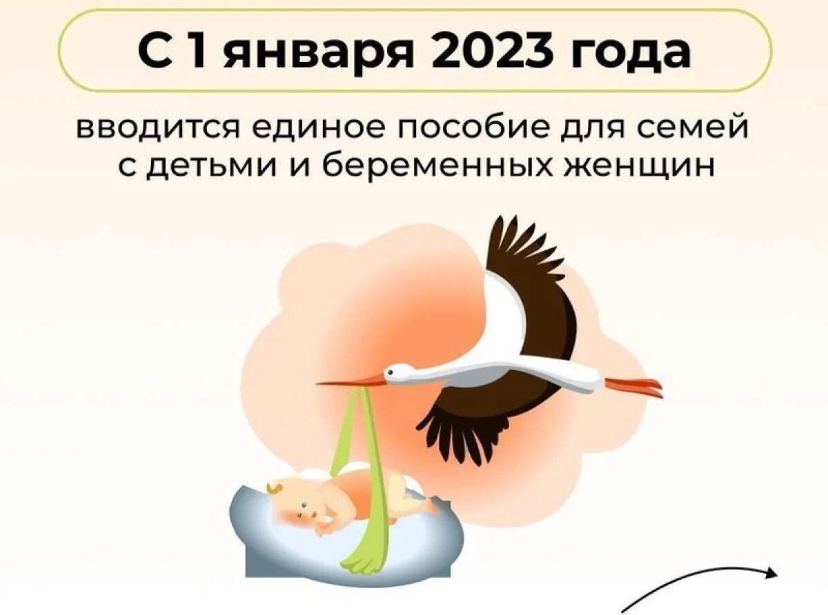 Может ли отец получить единое пособие. Единое пособие. единое пособие с 2025. единое пособие с 1 января. единое пособие на детей и беременных женщин.