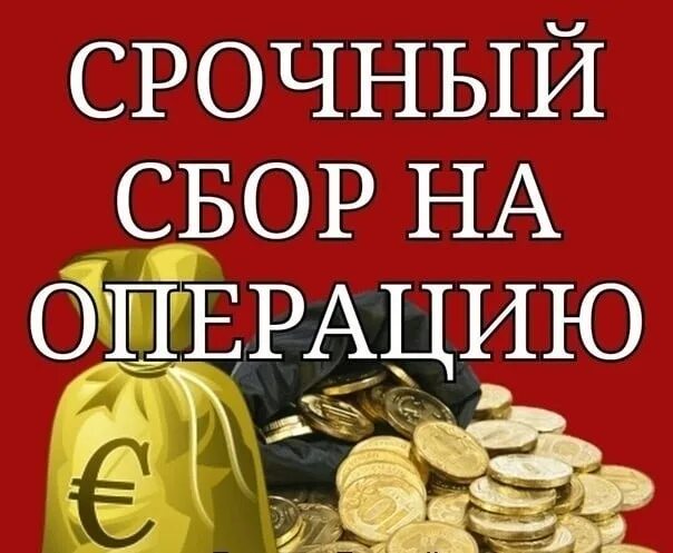 Срочный сбор. Срочный сбор на операцию. Срочно нужны деньги на операцию. Нужны деньги на закупку