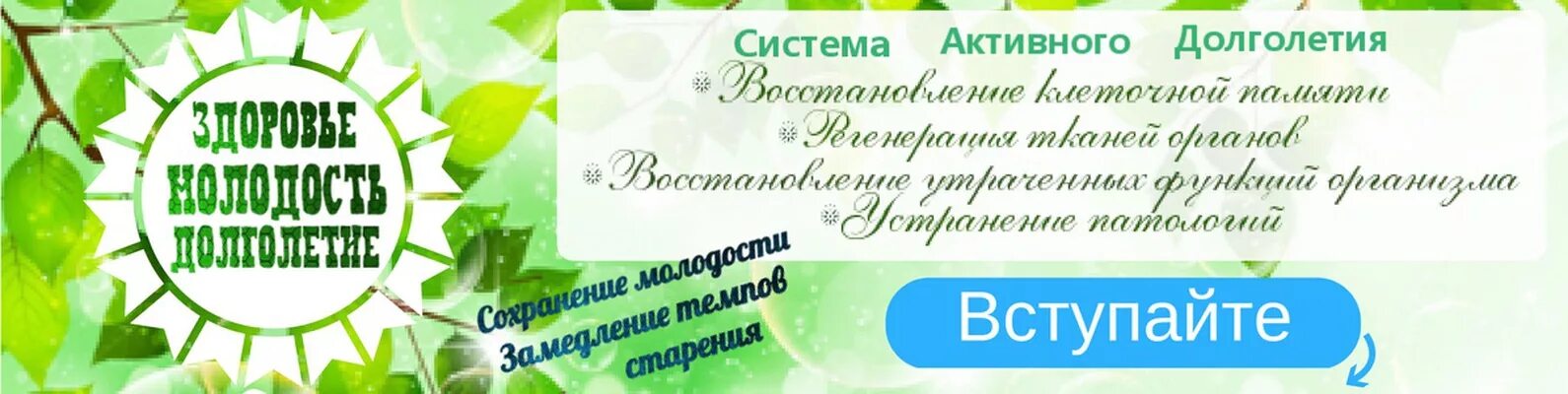 Долголетие ярославль. Активное долголетие слоган. Год активного долголетия эмблема. Группа активного долголетия. Здоровье и долголетие.