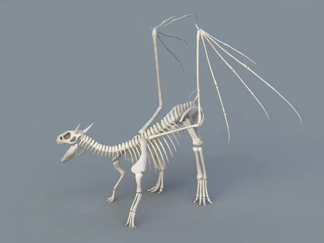 Скелет динозавра модель для 3d принтера. Скелет динозавра 3д. Динозавр 3д модель для принтера. Скелет динозавра поделка. Летающий скелет