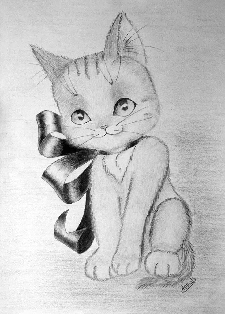 Котенок простой рисунок. Котенок рисунок. рисунки котиков. рисунки котиков для срисовки. рисунки котят для срисовки.