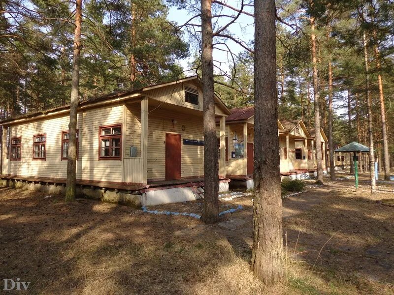 фрунзе. берёзовая роща санаторий ивановская область. детский лагерь березовая роща. лагерь дол березовая роща. роща дол.