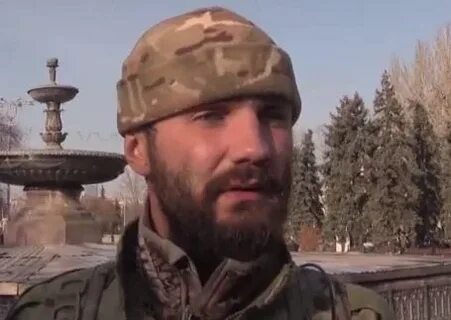 Гюрза позывной википедия