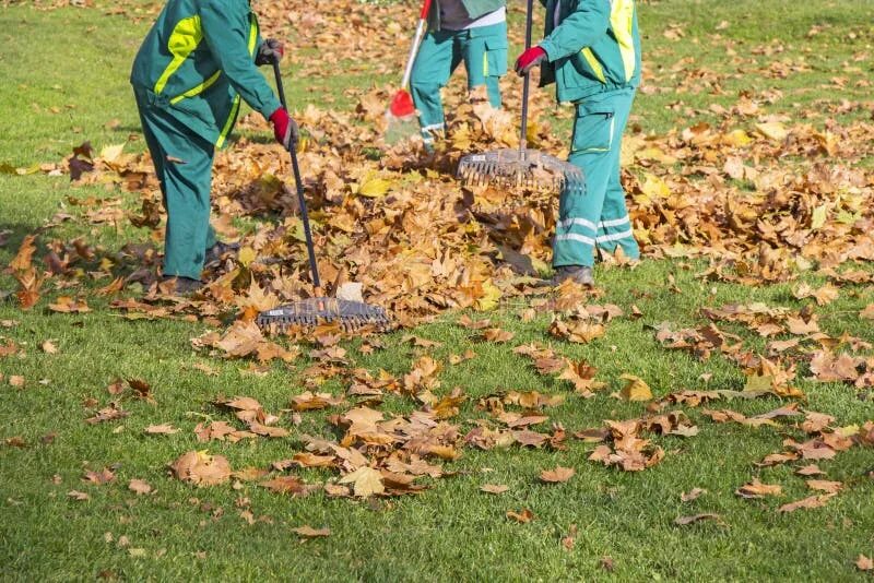 Pick up leaves. Мужчина убирает листья. Картинка для детей весной сгребают листву. Листовка садовые работы.