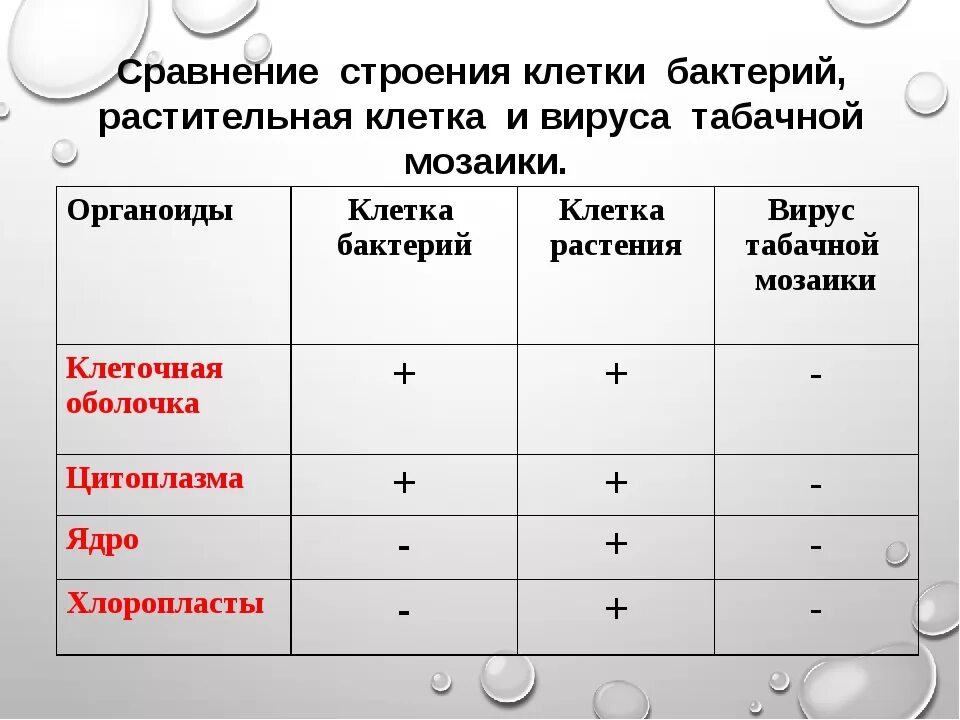 Чем отличается бактерия от вируса простыми словами. Сравнительная таблица бактерий и вирусов. Сравнение вирусов и бактерий таблица. Сравнение вирусов и бактерий. Сходства и различия бактерий и вирусов.