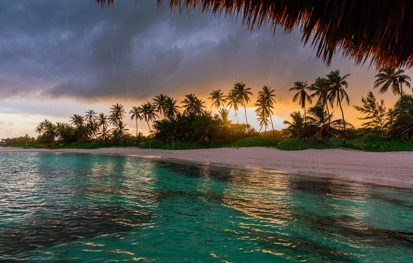 Гавайи Багамы. Пальмы и океан. Парадиз остров Карибского моря. Мальдивы голубая Лагуна.