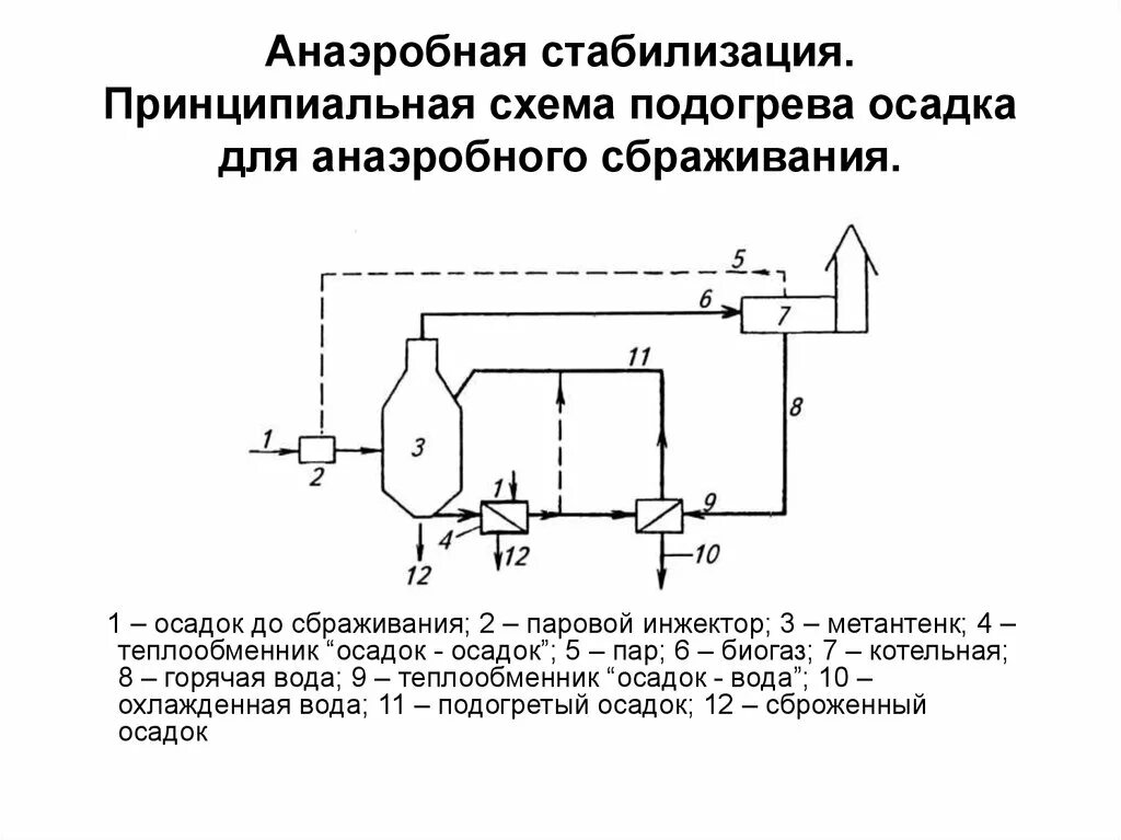 Схема метантенка для очистки сточных вод. Аэробный стабилизатор осадка схема. Схема аэробной стабилизации осадка. Технологическая схема обработки осадка с метантенком. Аэробный метод