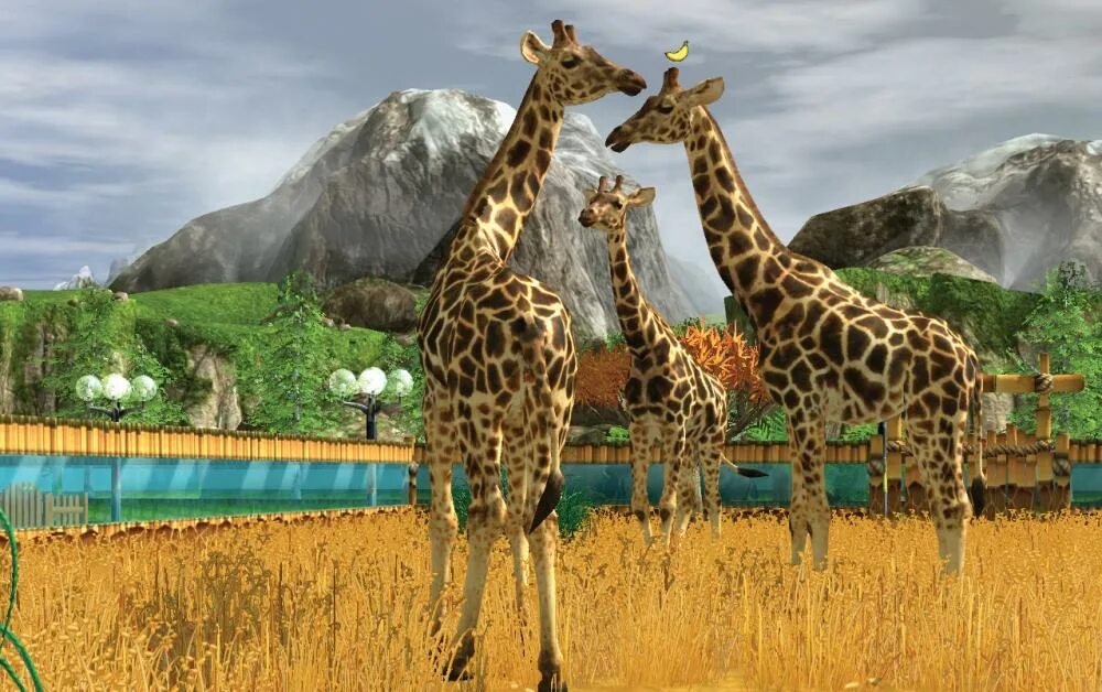 Wildlife Park Tycoon. Парк Orana Wildlife.. Wildlife Park 2. веселый зоопарк. Safari Zoo Tycoon. Wildlife на русском