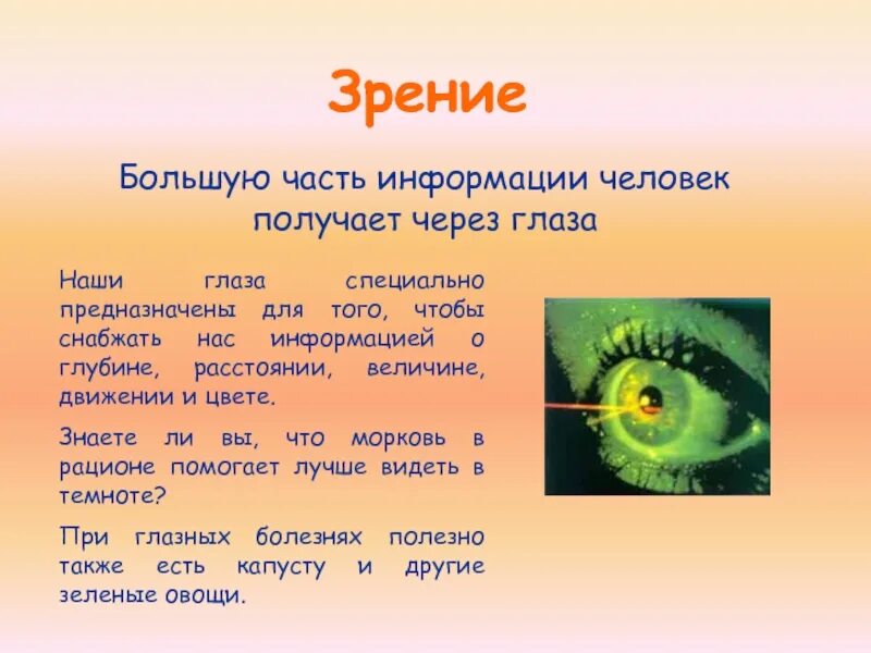 Органы чувств сердце. Презентация на тему органы чувств. Сообщение о органе чувств. Органы чувств доклад. Сообщение о органе зрения.