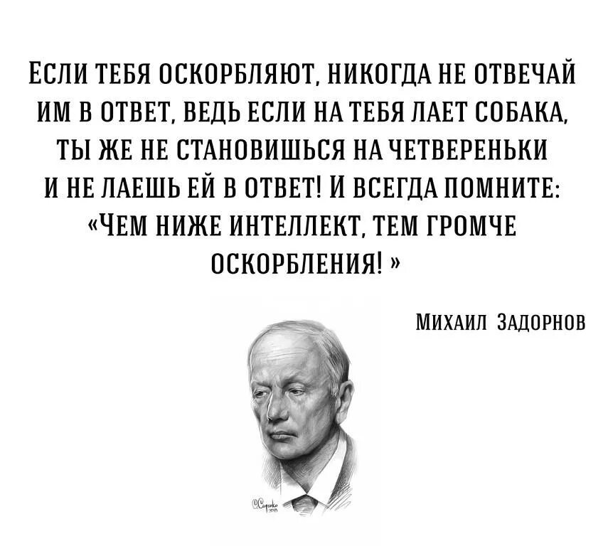 Кто говоришь тебя обидел. Цитаты про оскорбления и унижения. Фразы люди которые унижают других. Высказывания про оскорбления. Цитата задорного про оскорбление.