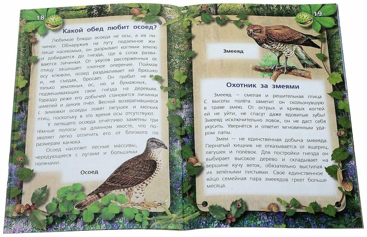 ворон книга. книги про птиц научно-популярные. птицы (догерти дж. пернатые читать. пернатые читать.