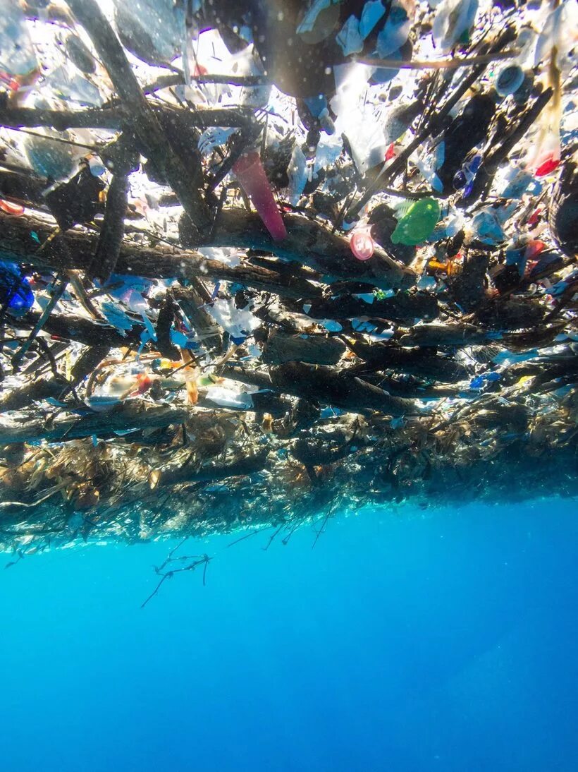 Мусорные острова в водах мирового океана