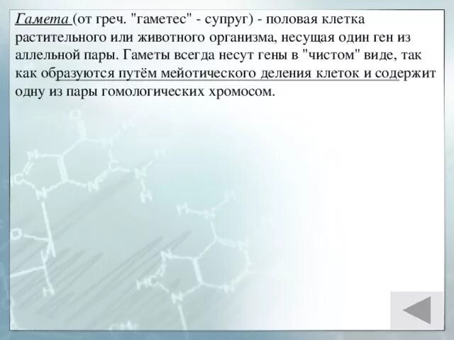 Гамета содержит