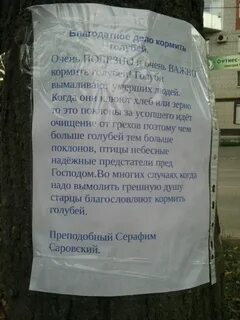 Соседям кормят