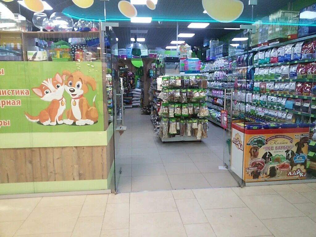 динозаврик магазин для животных. магазин для животных зоомагазин. зоомагазин рядом. зоомагазин с животными рядом. зоомагазин товары для кошек.