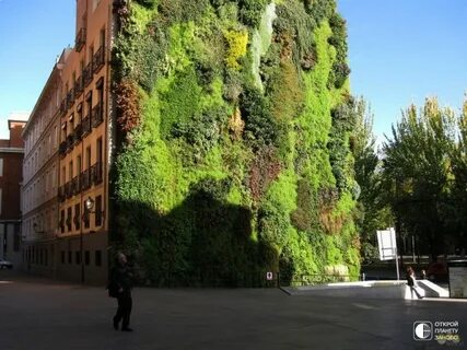 Wall form