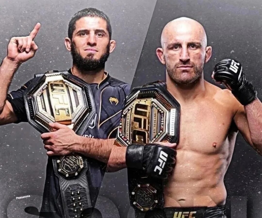 Ислам махачев чарльз альварес ufc. Дата боя ислама. Ислам махачев александр волкановски бой. Чарльз оливейра махачев. Ислам махачев волкановски.