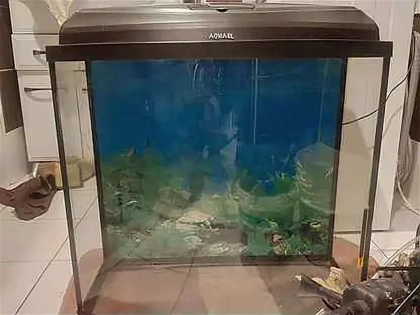 Длина аквариума 90 см