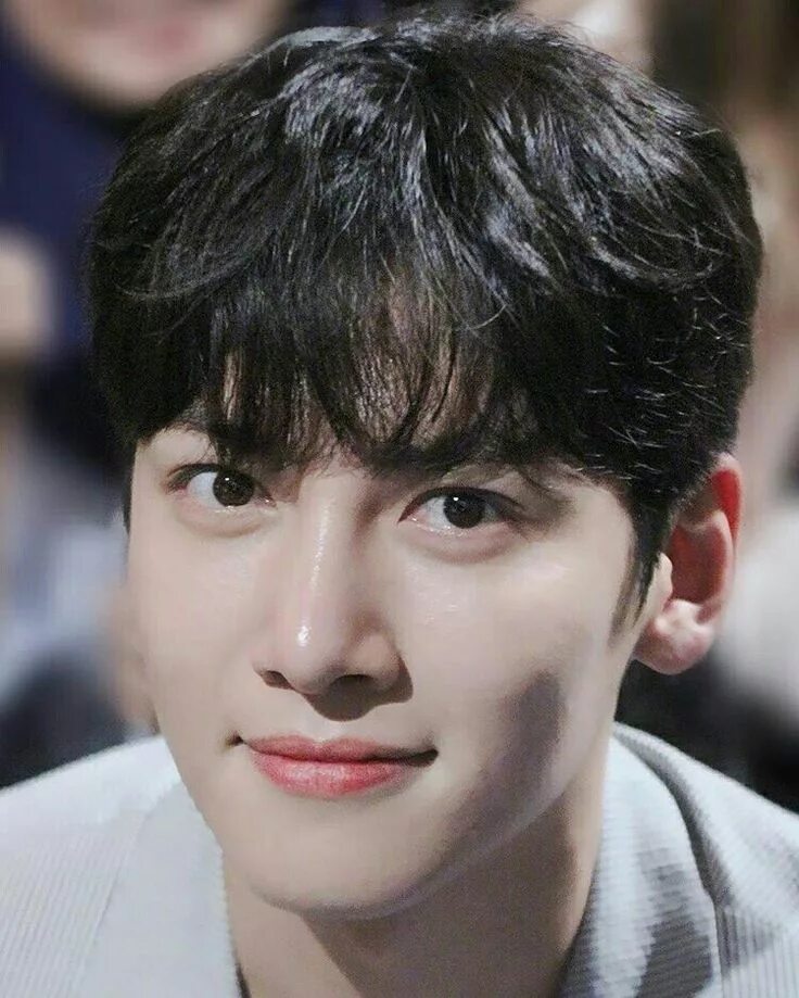 Ji Chang Wook. Чжи Чан УК (Ji. Актер Чжи Чан УК. Чжи Чан УК фото.