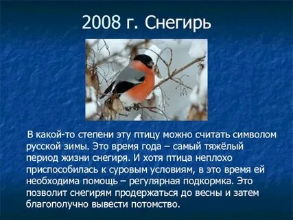 О птицах 3 класс