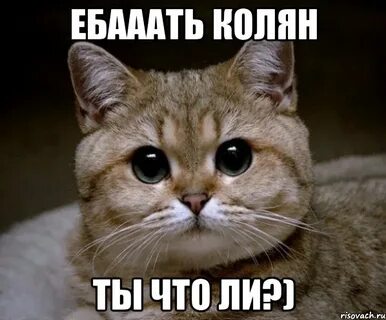 Свиду