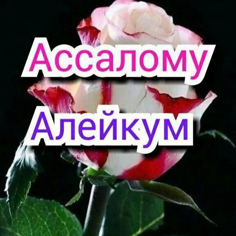 Ассам алейкум. Ассаламу алейкум надпись. ассаламу алейкум картинки. ассаламу алейкум картинки с надписями. уа алейкум салам.