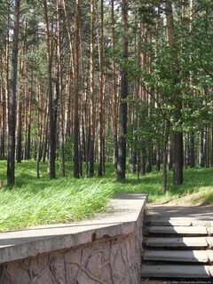Железногорск официально